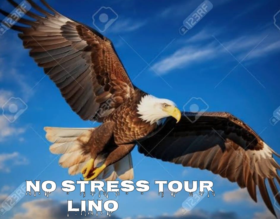 No Stress Tour Lino