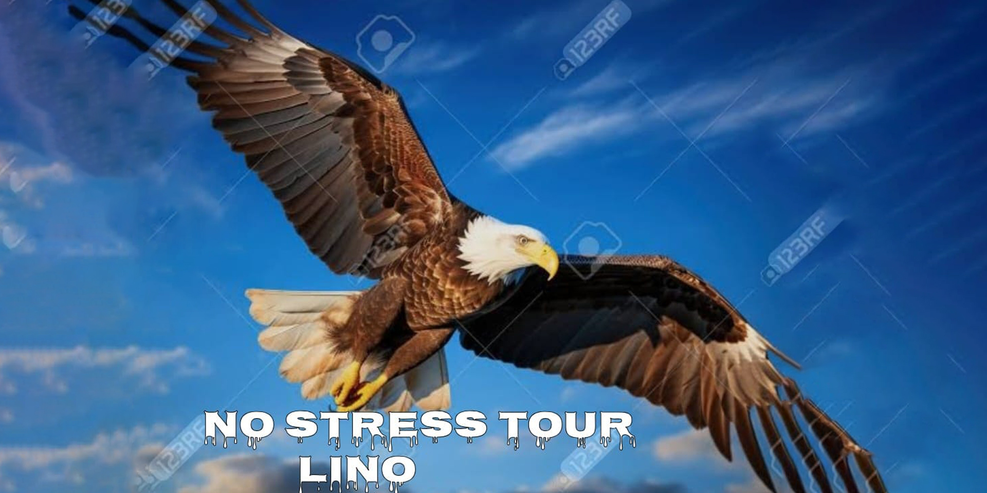 Banner Padrão